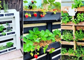 60 idées de jardin de palettes faciles