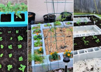 15 idées faciles de lit surélevé en parpaings