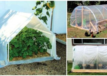 16 plans de serre en PVC vous aident à construire une serre à faible coût