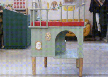 Chaise à partager avec chien: Chaise pour votre chien pour vous accompagner au bureau à domicile