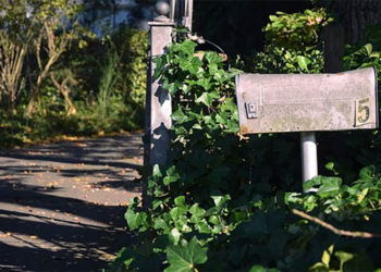 Comment ces 4 choses vont changer la façon dont vous abordez les boîtes aux lettres