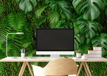 Leçons sur la façon de décorer votre salon avec des plantes vivantes