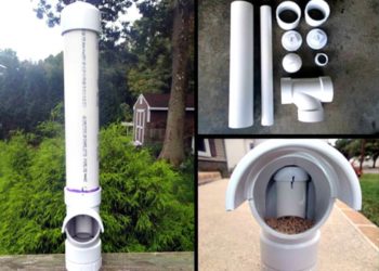 6 idées de mangeoire et d’abreuvoir à poulet à faire soi-même