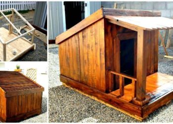 Niche pour chien en palette – Plan étape par étape