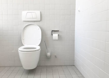 Quelle est la meilleure toilette ronde ou allongée?  – Choisissez le bon