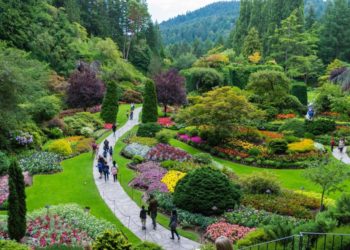 4 conseils pour que votre jardin ressemble au jardin d’Eden