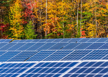 Conseils pour choisir le bon micro-onduleur pour les panneaux solaires