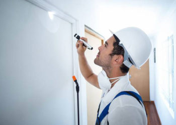 Pourquoi les propriétaires en Malaisie devraient envisager un plan de lutte antiparasitaire