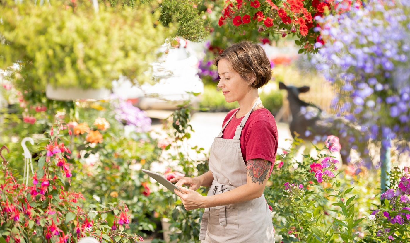 40 meilleurs magasins de jardinage en ligne de 2021 - Maison Bonte