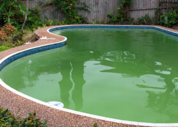 Étapes faciles pour nettoyer une piscine verte