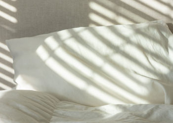 Quel est le moyen le plus rapide de se débarrasser des punaises de lit?