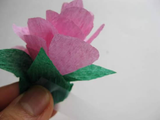 Fleur en papier crépon pas à pas