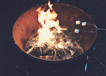 Comment décorer votre jardin selon les dernières tendances