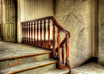 Quels agents préventifs pouvez-vous utiliser parallèlement à l’élimination des moisissures ?