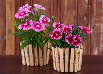 8 façons de donner un nouveau look à vos pots et cache-pots