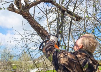 9 meilleures scies à poteaux manuelles de 2021 [Reviewed & Buyer’s Guide]