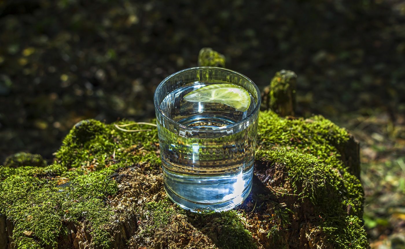 Verre d'eau douce propre sur une souche d'arbre avec de la mousse sur fond naturel vert.  Eau de source écologiquement pure.  Journée mondiale de l'eau