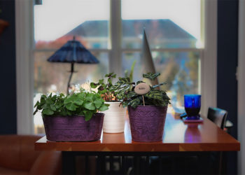 Révision de bureau : comment la conception de bureau peut augmenter la productivité