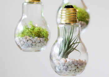 Comment faire un terrarium avec une lampe
