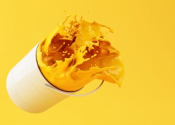 Combien coûte la peinture Benjamin Moore ? [Guide]