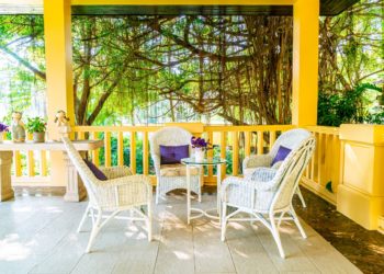 9 meilleures teintures pour le cèdre de 2021 [Tested]