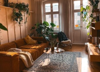 Appartement 1 chambre : Idées déco