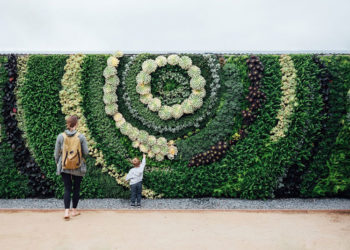 7 idées d&rsquo;intimité extérieure pour votre arrière-cour ou votre jardin