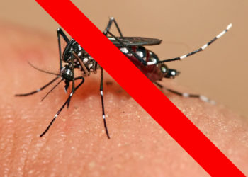 Savon répulsif maison, voyez comment le faire à la maison