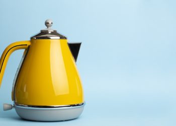 13 bouilloires électriques les plus sûres sans plastique [Reviewed & Buyer’s Guide]