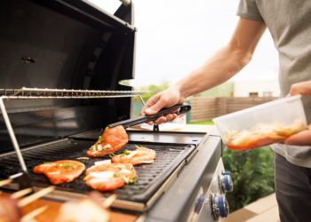 Weber Spirit contre Spirit II [All You Need to Know]