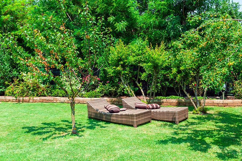 AdobeStock_42819767 8 chaises longues de jardin à la mode et les meilleures à considérer