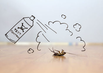 Comment préparer votre maison pour un traitement antiparasitaire