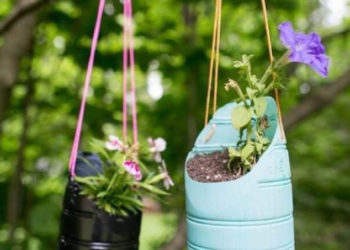 24 façons créatives de réutiliser les bouteilles pour animaux de compagnie dans le jardin !