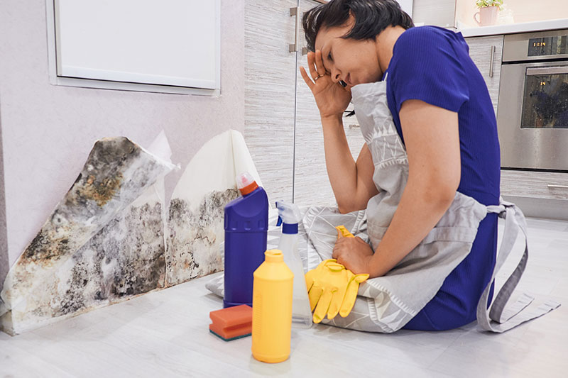 AdobeStock_204673184 Comment se débarrasser de la moisissure dans la maison et l'empêcher de repousser