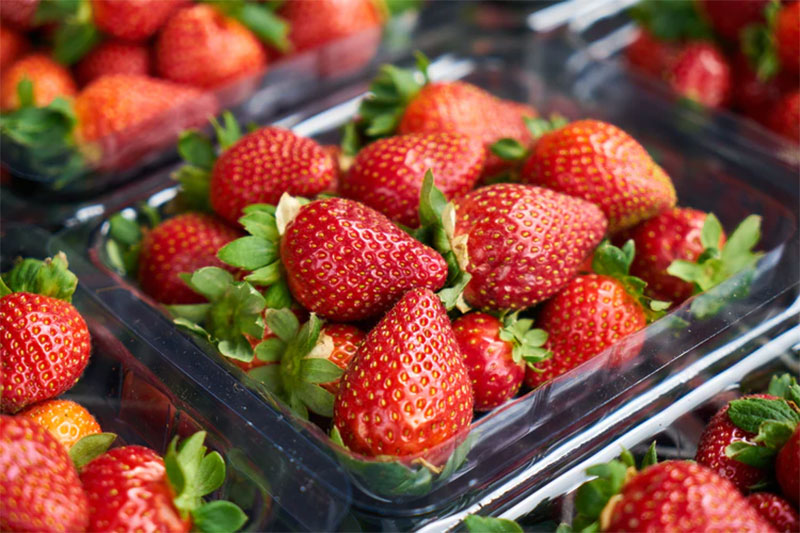 s2 Conseils utiles pour cultiver facilement des fraises à la maison