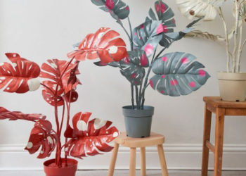 Que diriez-vous de peindre une plante permanente?