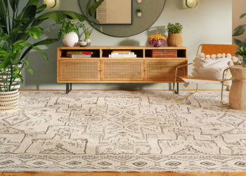 Comment moderniser instantanément votre maison avec des tapis