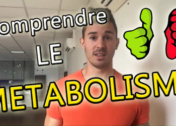 C'est quoi le pilon ?