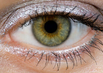 C'est quoi les yeux Hazel ?