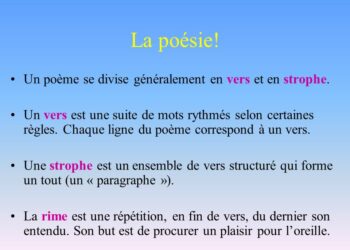 C'est quoi un vers ?