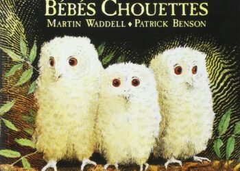 Comment Appelle-t-on les petits de la chouette ?