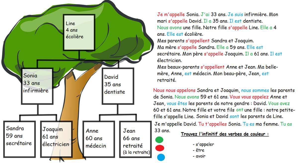 Comment Appelleton une clémentine en anglais