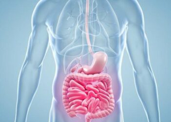 Comment Attrape-t-on le cancer des intestins ?