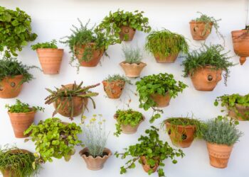 Comment accrocher des pots de fleurs au mur ?
