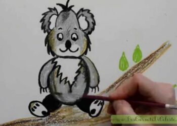 Comment acheter un koala ?