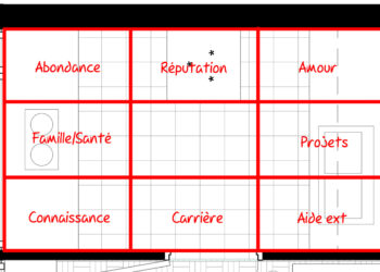 Comment activer la zone Carrière feng shui ?