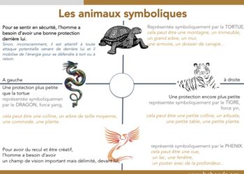 Comment activer le secteur nord en Feng Shui ?