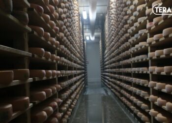 Comment affiner le fromage ?