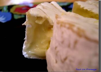 Comment affiner un camembert ?