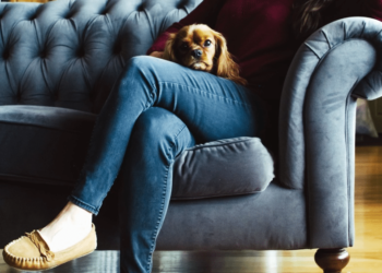 Comment agrafer du tissu sur un canapé ?